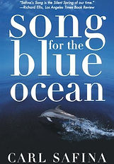 Song for the Blue Ocean.jpg