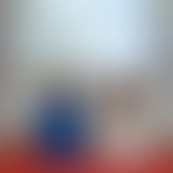 Domesticated Animals in Sanctuaries of Refugees Fleeing Violence