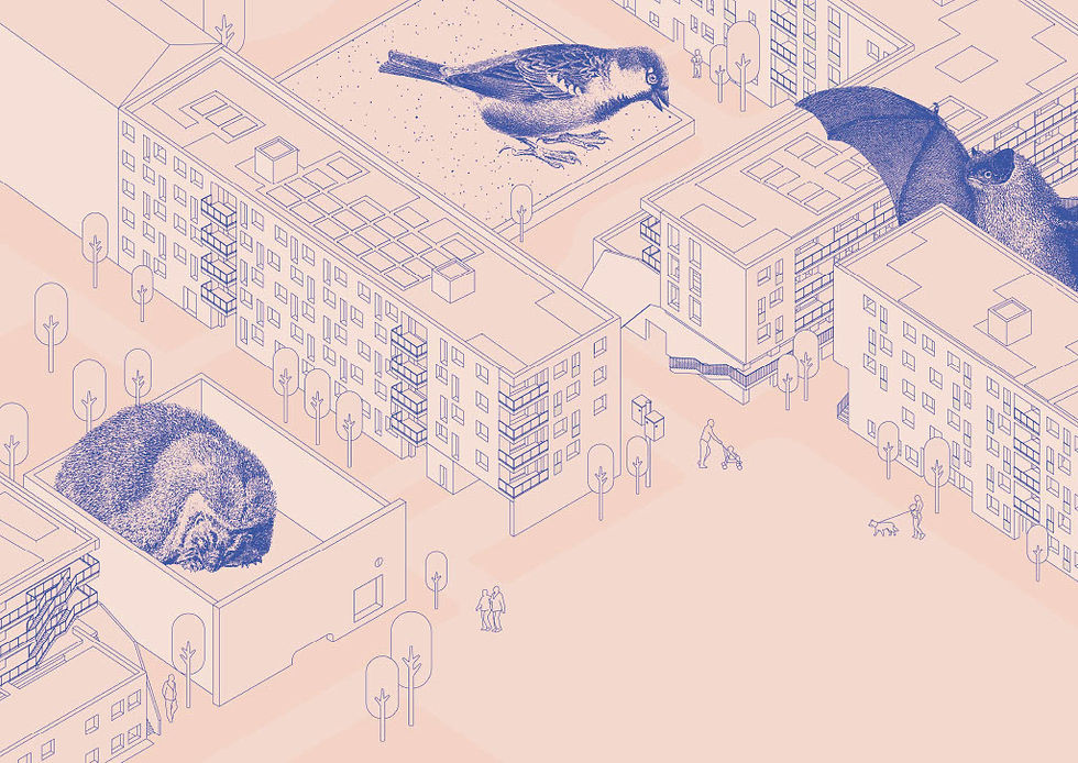 Designing Cities with Animals: The Promise and Challenges of Animal-Aided Design