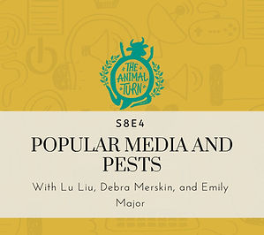 Misrepresentation Poster