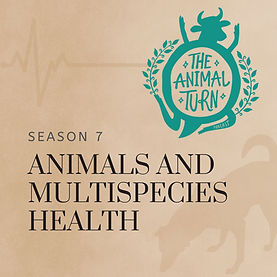 Season Cover 2.jpg