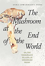 Mushroom at the end of the world