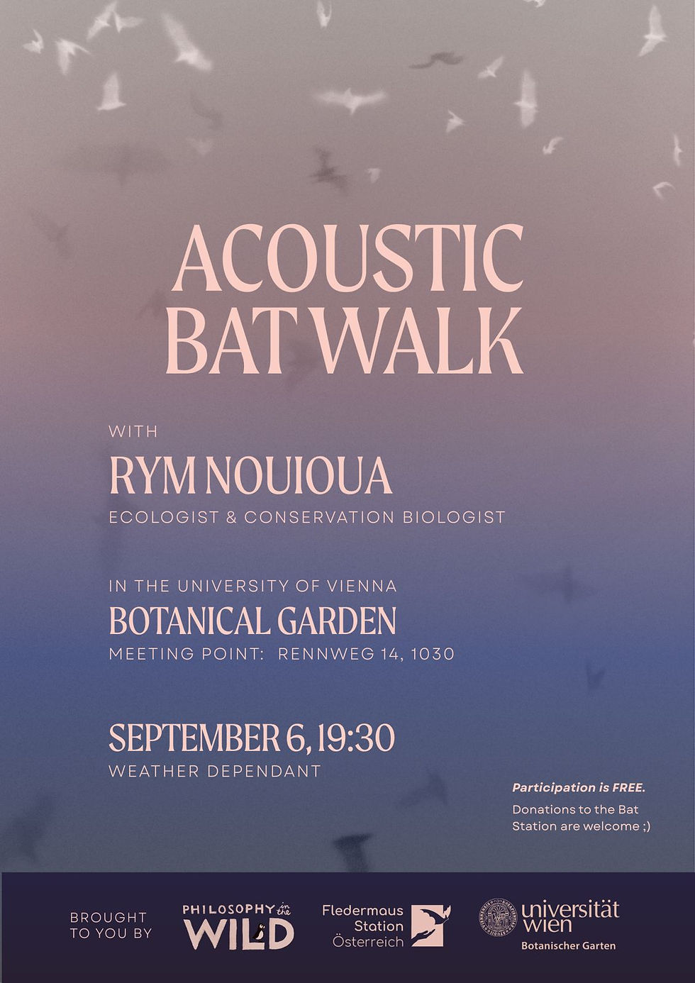 Acoustic Bat Walk 