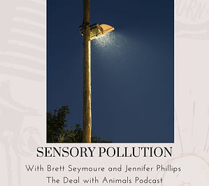 In this crossover episode from The Deal With Animals Podcast, Marika S. Bell talks to two experts about the impacts of sensory pollution on animals. Sensory pollution from artificial light and noise has profound effects on wildlife behavior, reproduction, and survival. Brett Seymour and Jennifer Phillips share insights about how everyday choices impact everything from insect flight patterns to bird nesting success.