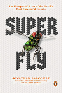 Super Fly.jpg