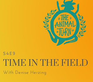 S1E2 - 2 - Poster (Legal Subjects).png