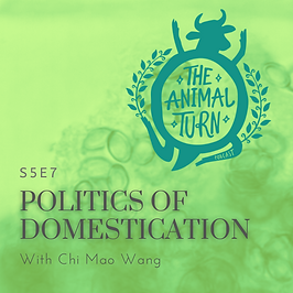 S1E2 - 2 - Poster (Legal Subjects).png