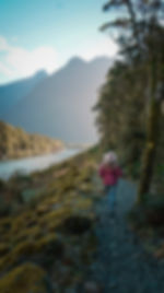 Milford Sound River