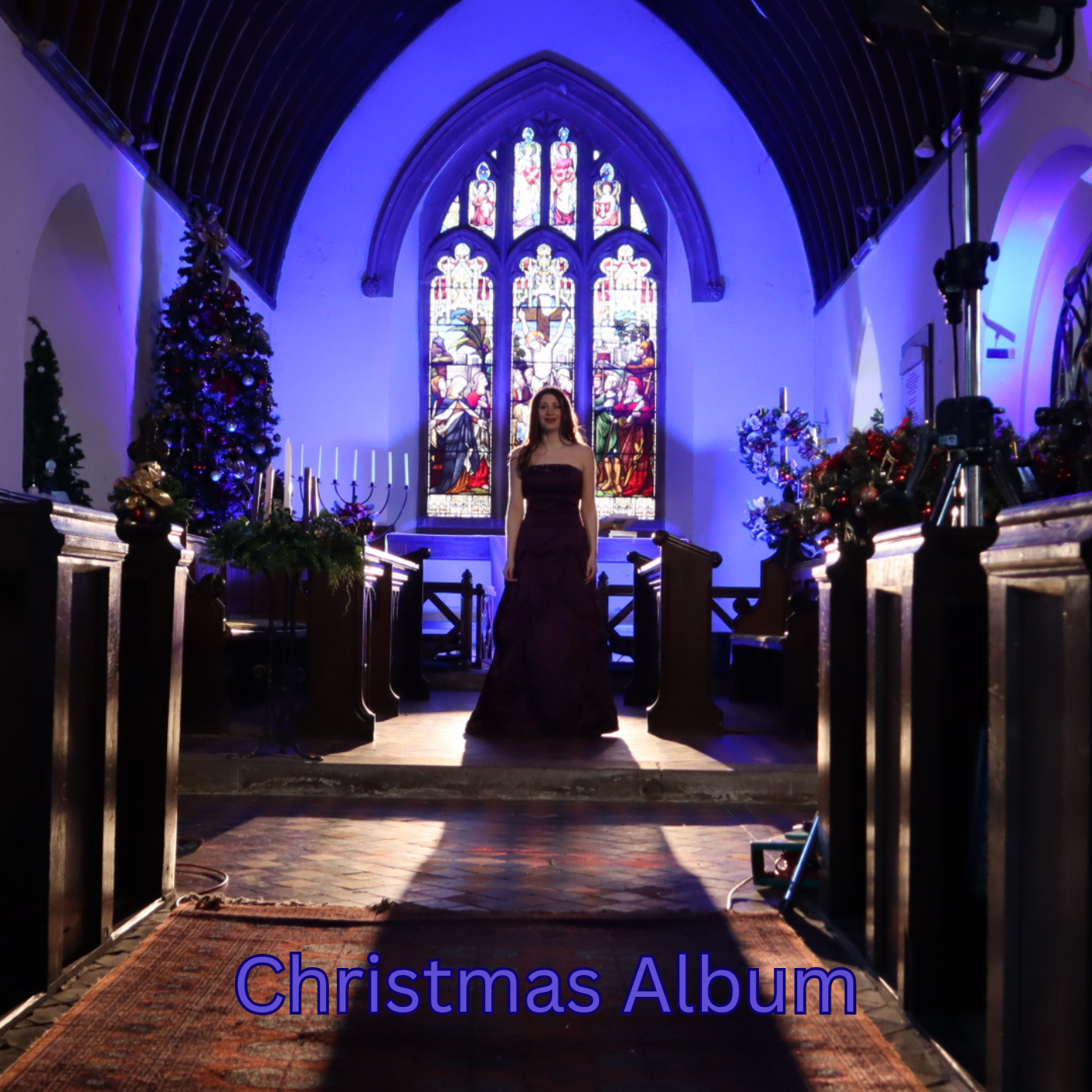 Christmas Album (Audio CD)