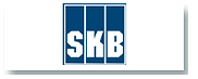 p_skb.png