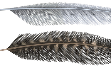 Render_CAGU-and-WITU.png