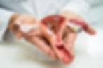 uterus-doctor-with-anatomy-model-for-study-diagno-2025-02-25-02-58-31-utc.jpg