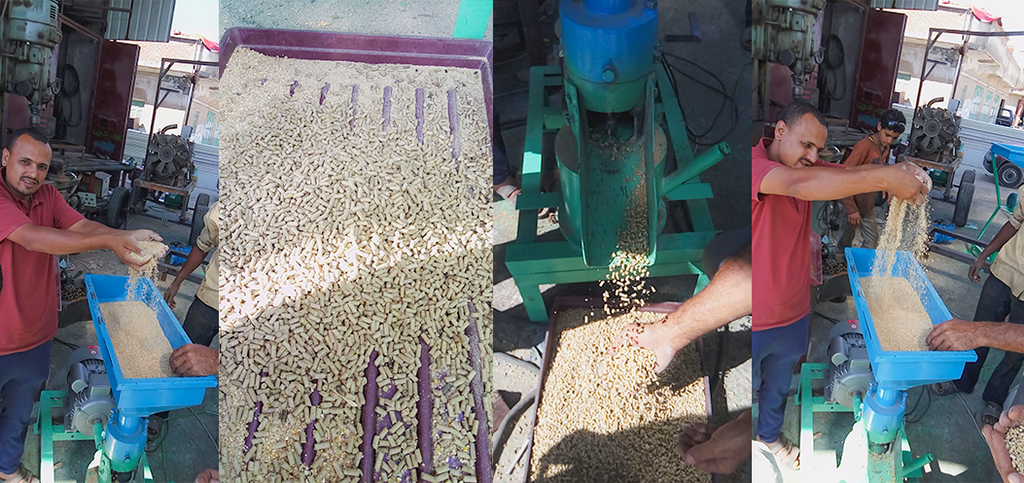 استنبات الشعير الشــركـة المصرية ام ايه للتــجارة و الصــناعة مصر