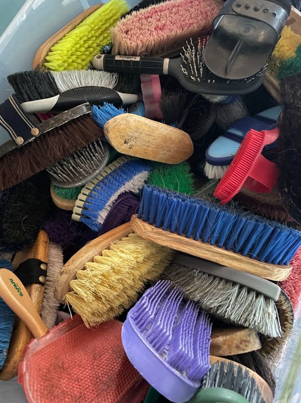 Thumbnail: Grooming: Brushes, Combs, Scrapers & Picks