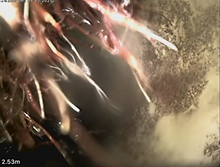 thumbnail (1).png