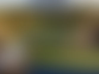 Securing a Jumbo or Investment Loan in Continental Country Club, Flagstaff