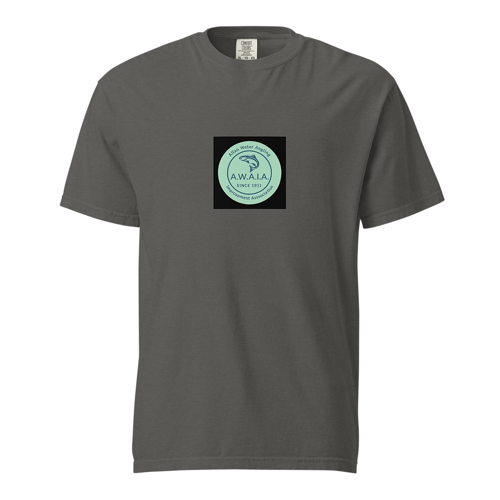 Thumbnail: Unisex Garment-Dyed Heavyweight T-Shirt | Comfort Colors 1717