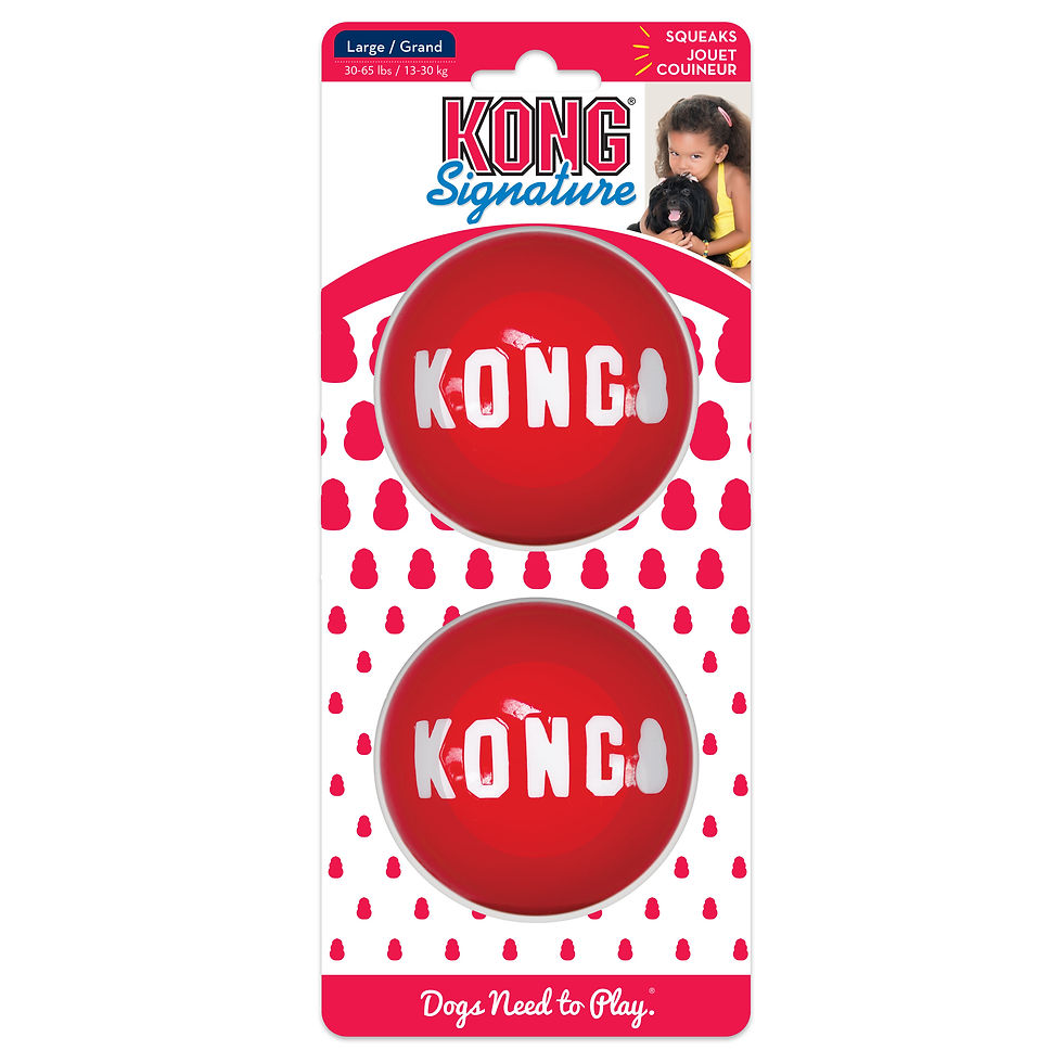 KONG Signature Ball (2 Pack)
