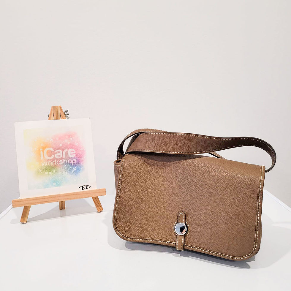 Handbag 2