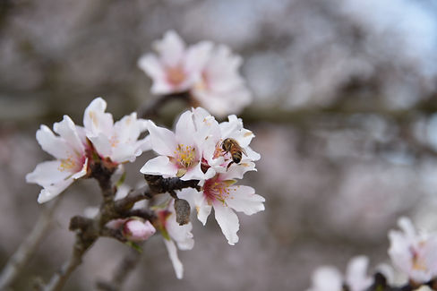 IMG_3173.jpeg