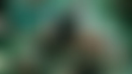 Rogue One ya ha recaudado más de 1.000 millones de dólares