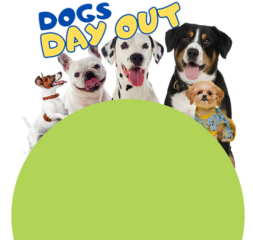 Dogs Day Out Poster (1250 × 800 mm).png