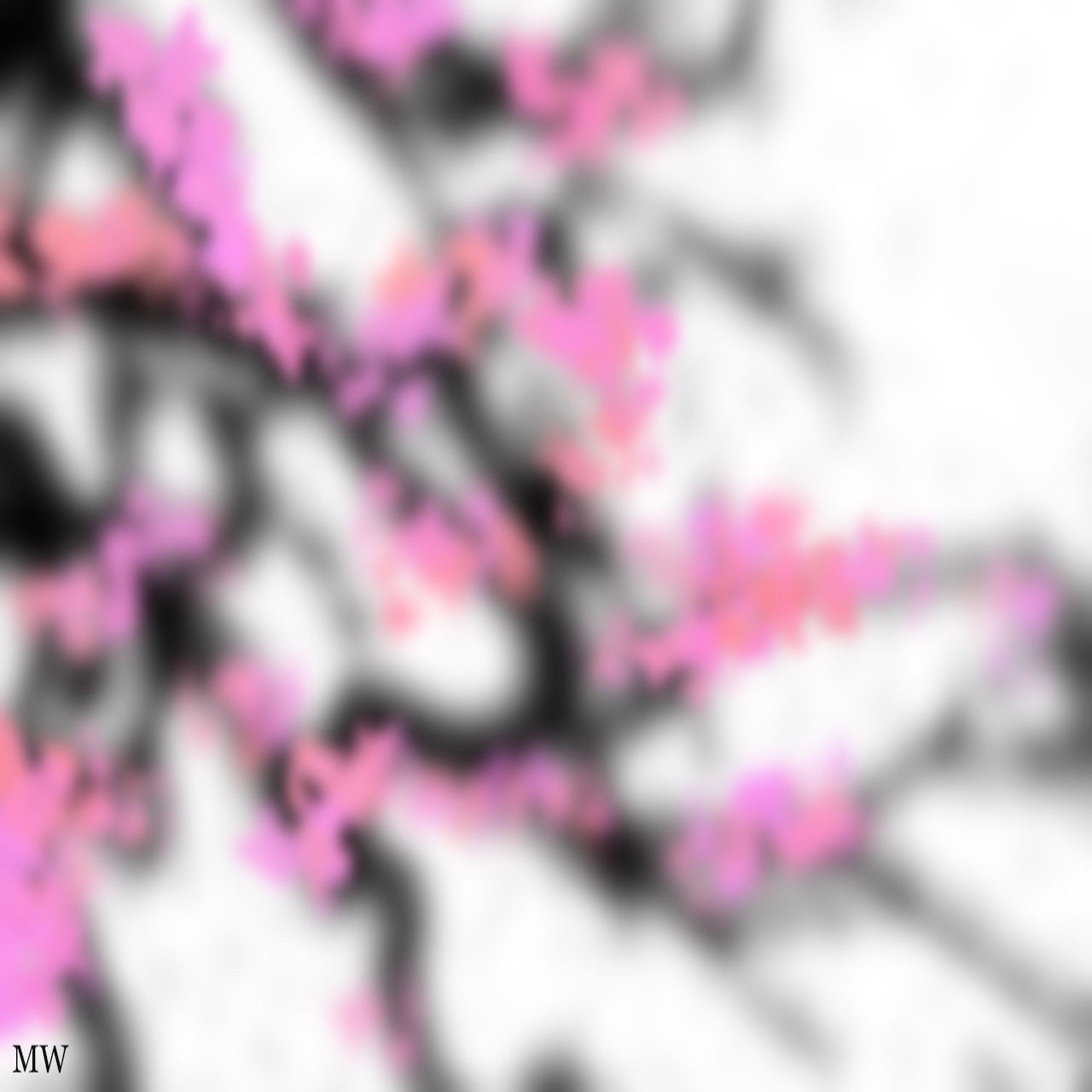 Time Stands Still...