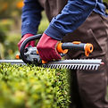 Hedge Trimmer