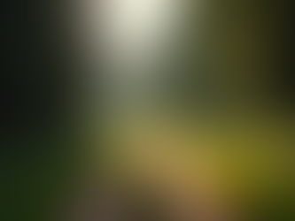 Caminhada e Corrida: Inscreva-se no 'Nós na Natureza'