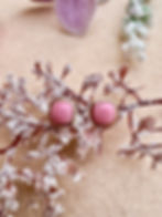 Pink Queen Conch Shell Sterling Silver Earrings,Gifts