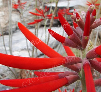 web sm resiyl;kjbugDSC00001x (1377).jpg