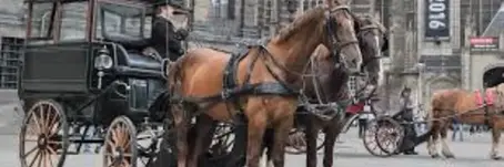 The Rich Tapestry of Business Coaching Hamilton NZ