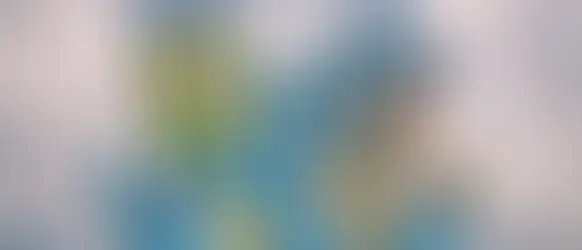 Is Business Coaching More Popular in Other Countries Than New Zealand?