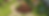 LordOfDynasty_Design a (((lo ab113257-84a8-474d-b180-299fdc4d52d7.png