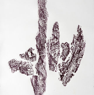 Gravura 25.jpg