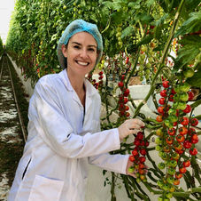Georgia Tolley reports on food security and farming in the UAE for the BBC World Service