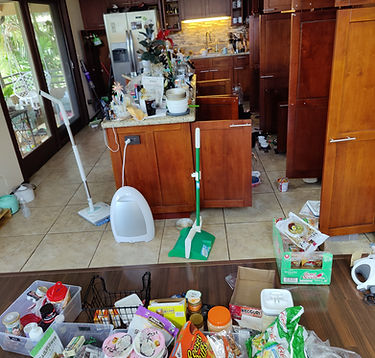 Before home organizing project