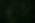 Clovers_edited_edited.jpg