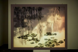 the reflaction of inner-side _part1