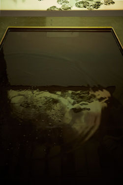 内心照亮(the reflaction of inner-side)