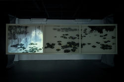 The recflection of inner-side