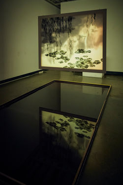 内心照亮(the reflaction of inner-side) - the part 1