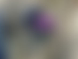 【子どもも大人も育ってる】親子でかまどんの日々