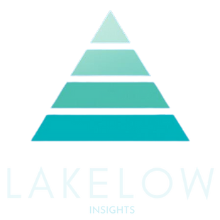 LakeLow insights Digital Marketing Consultant