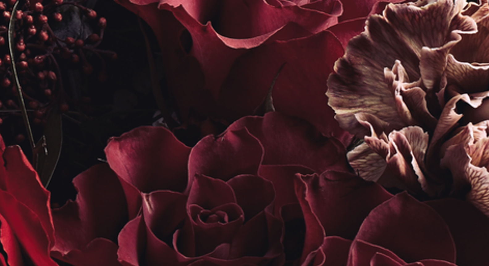 AdobeStock_323394750.jpeg