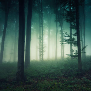 Whispers and Wind: A Tale of Gods and Ghosts from the Scroll of the Raithsworn, Chapters 1 - 4
