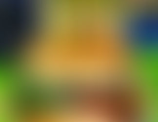 Mc DONALD'S se lance dans l'aventure végétarienne