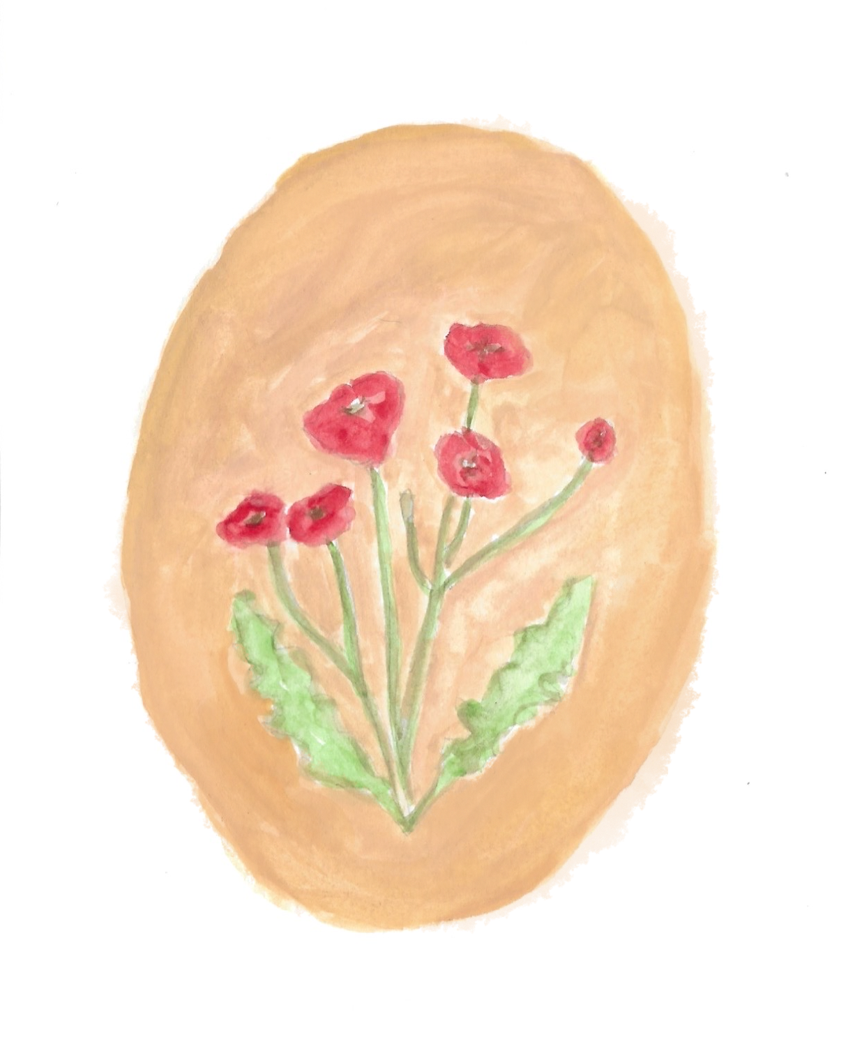 poppies