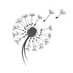 TDC dandelion - color (1)_edited.png
