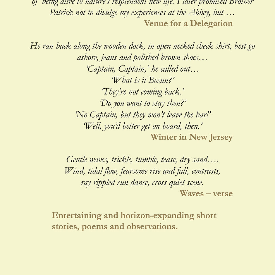 9781787920002_backcover (1).jpg